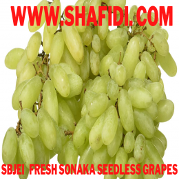 FRESH SONAKA SEEDLESS GRAPES